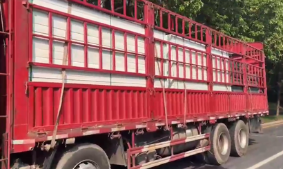 旭東PVC圍擋批發直供龍崗工地，2500米圍擋當天閃電送達