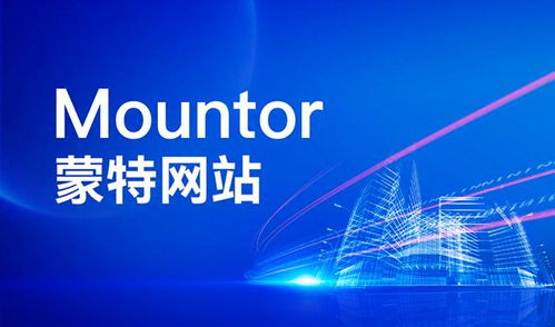網站建設避坑指南 2025年國內網站設計開發公司全解析
